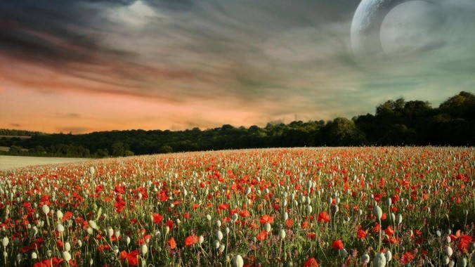 jwt与token+redis，哪种方案更好用？